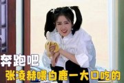 爱豆吃瓜娱乐白鹿,爱豆吃瓜娱乐背后的故事